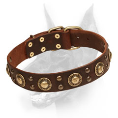 Leather Doberman Dog Collar with rich decoration