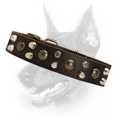 Designer leather dog collar