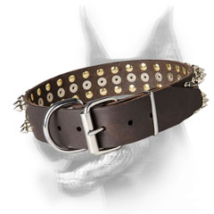 Doberman Collar decorated with 1/2 inch solid spikes