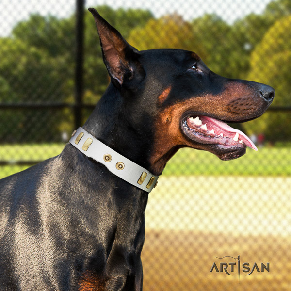 Doberman walking full grain genuine leather dog collar with studs