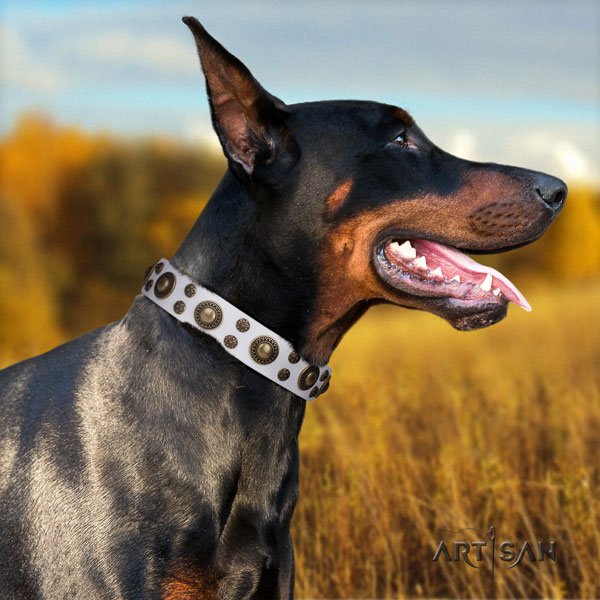 Doberman fine quality full grain genuine leather collar with adornments for your four-legged friend
