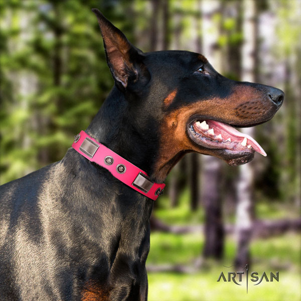 Doberman extraordinary leather collar with decorations for your four-legged friend
