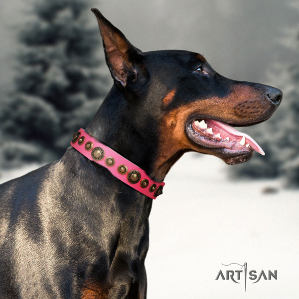 Doberman inimitable leather collar with decorations for your pet