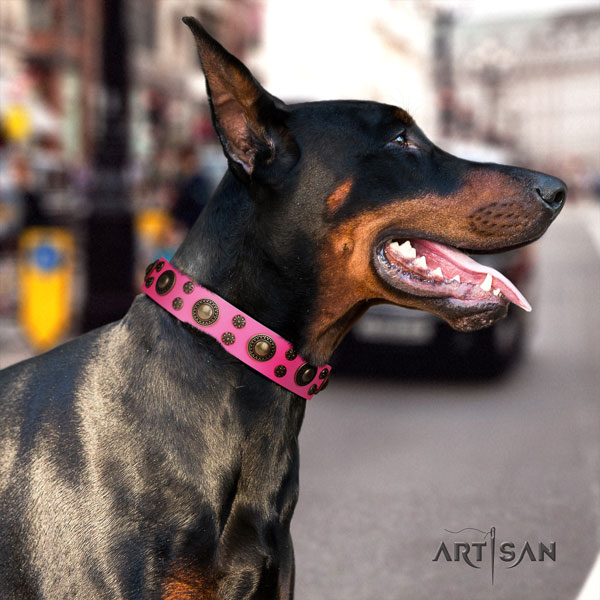 Doberman convenient natural genuine leather collar with studs for your dog
