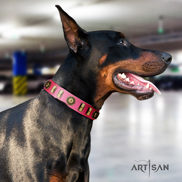 Doberman handy use full grain leather dog collar with studs