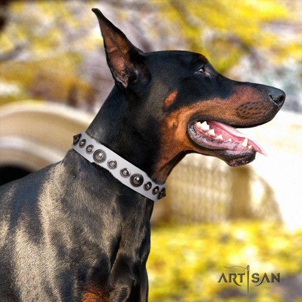 Doberman fashionable natural genuine leather collar with adornments for your canine