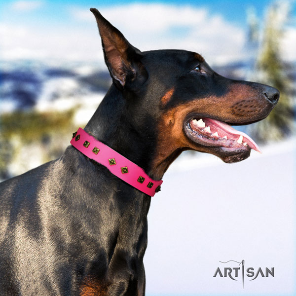 Doberman significant full grain natural leather collar with adornments for your doggie