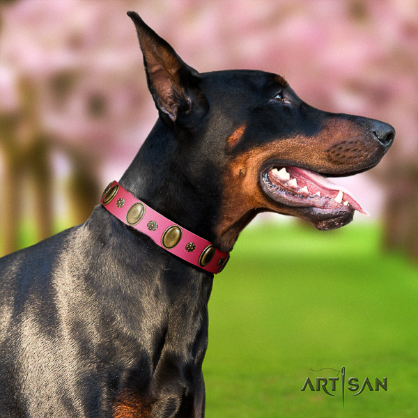 Doberman stylish walking natural genuine leather dog collar with embellishments