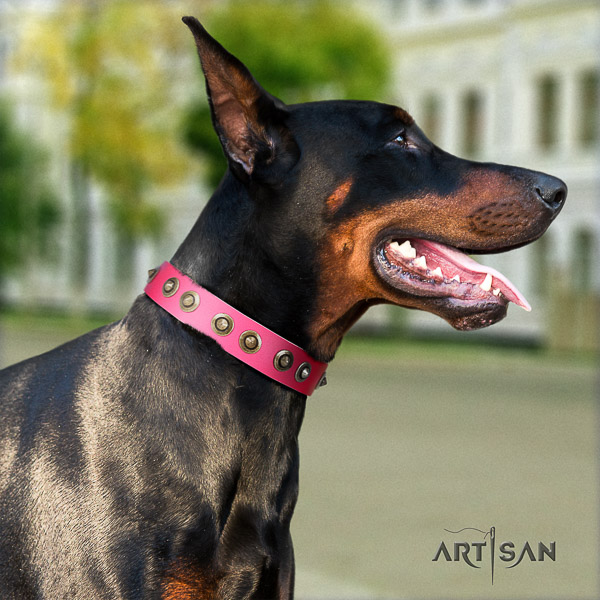Doberman easy wearing full grain genuine leather dog collar with studs