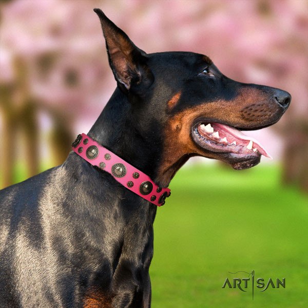Doberman stunning genuine leather collar with adornments for your four-legged friend