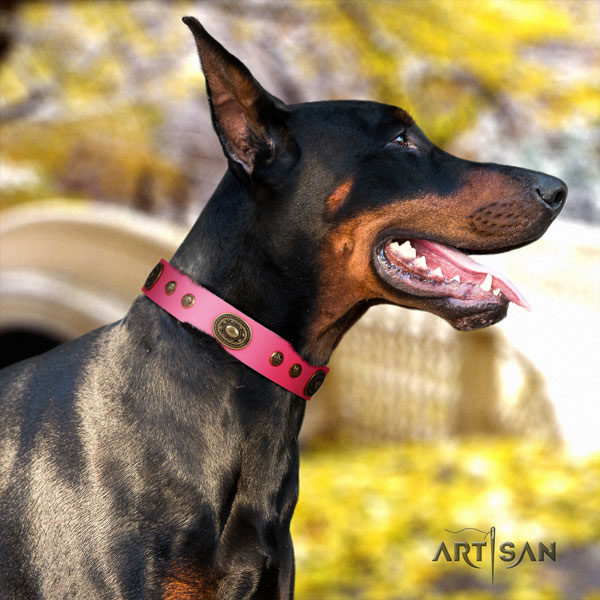 Doberman stylish genuine leather collar with embellishments for your doggie