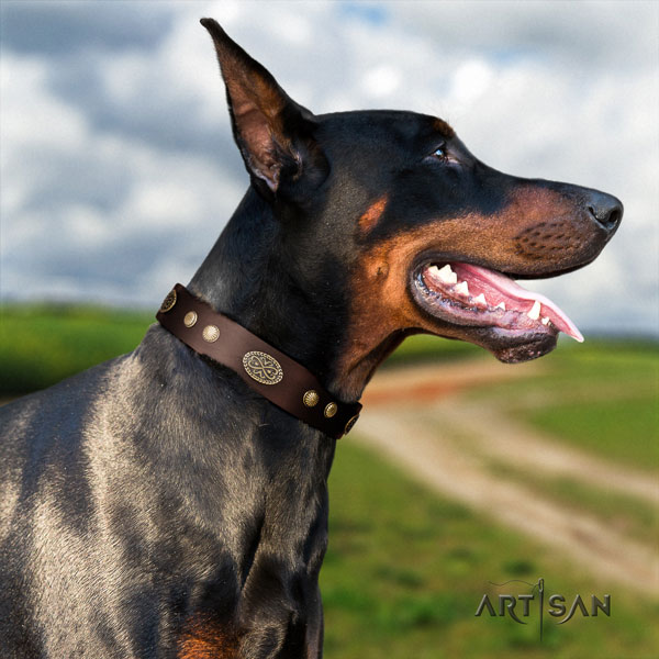 Doberman perfect fit leather collar with adornments for your doggie
