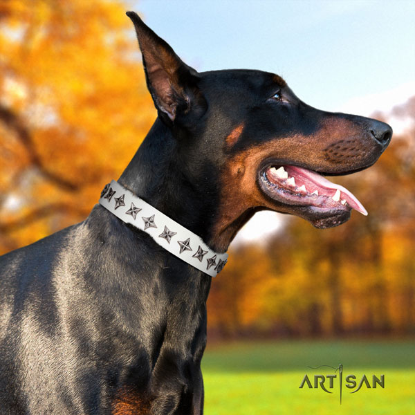 Doberman awesome natural genuine leather collar with adornments for your four-legged friend