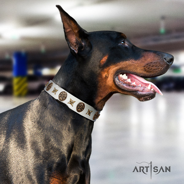 Doberman handy use full grain natural leather dog collar with decorations
