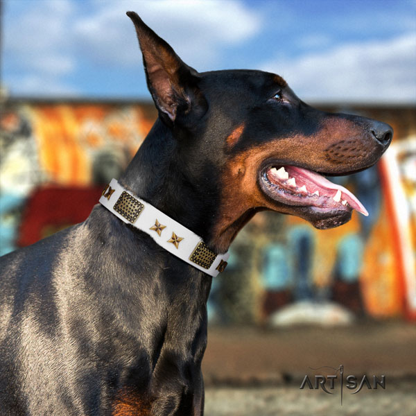 Doberman stunning full grain leather collar with studs for your canine