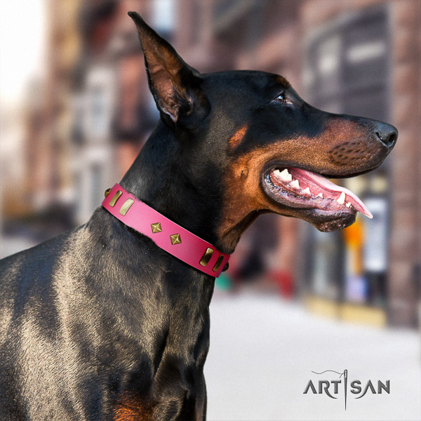 Doberman daily use full grain natural leather dog collar with embellishments