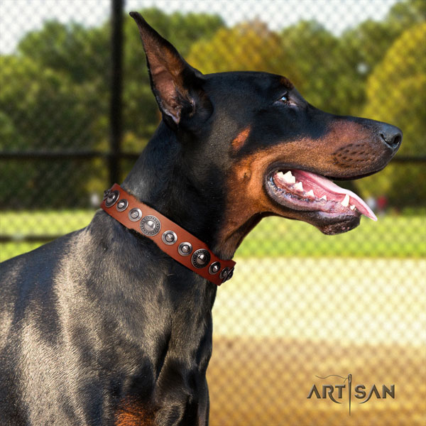 Doberman trendy genuine leather collar with embellishments for your dog
