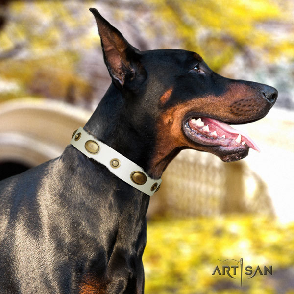 Doberman top notch full grain genuine leather collar with adornments for your dog