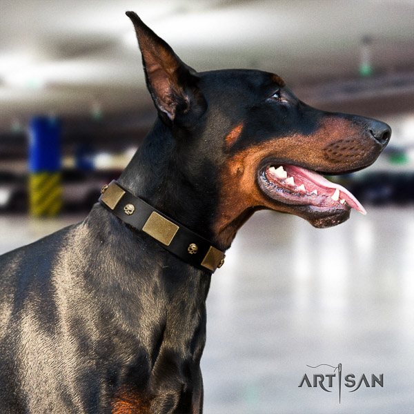 Doberman fancy walking full grain genuine leather dog collar with decorations