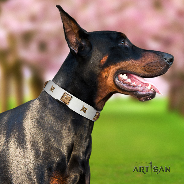 Doberman daily walking leather dog collar with studs