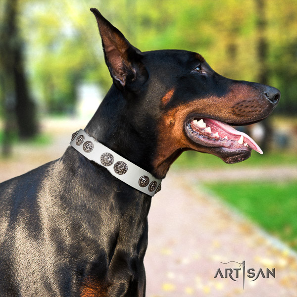 Doberman full grain natural leather dog collar with studs for everyday use
