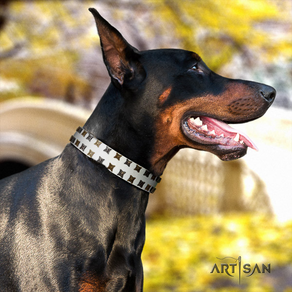 Doberman comfy wearing natural genuine leather dog collar with adornments