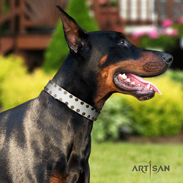 Doberman everyday walking natural genuine leather dog collar with adornments