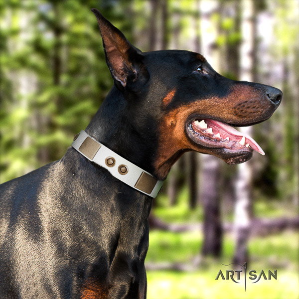 Doberman basic training full grain genuine leather dog collar with embellishments