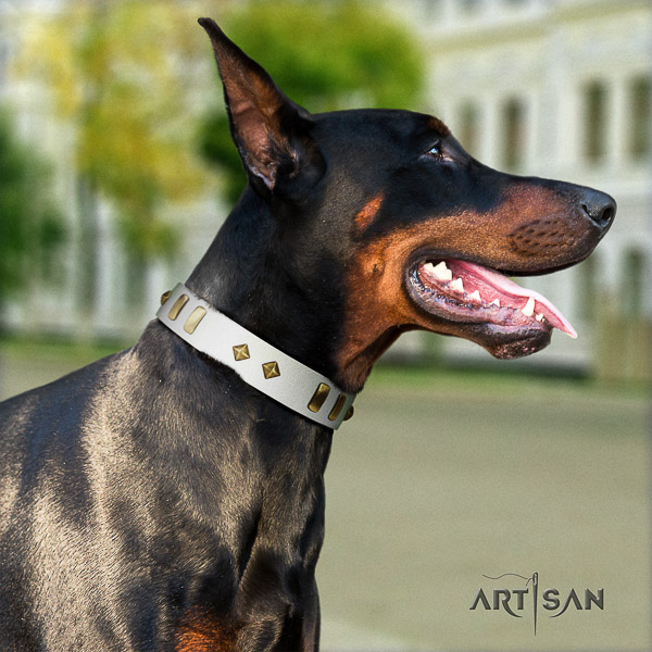 Doberman fancy walking genuine leather dog collar with decorations