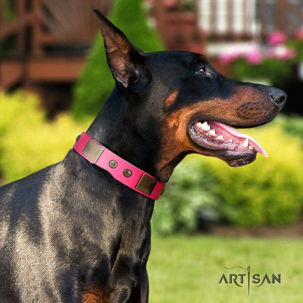 Doberman easy wearing leather dog collar with decorations