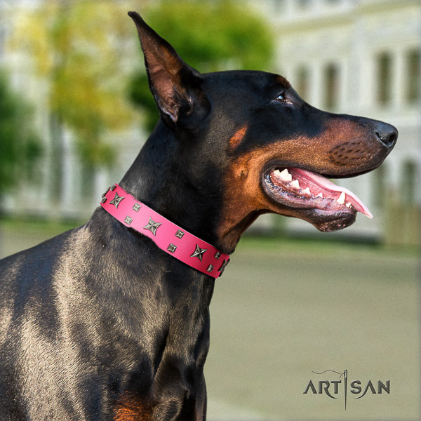 Doberman full grain leather dog collar with studs for everyday walking