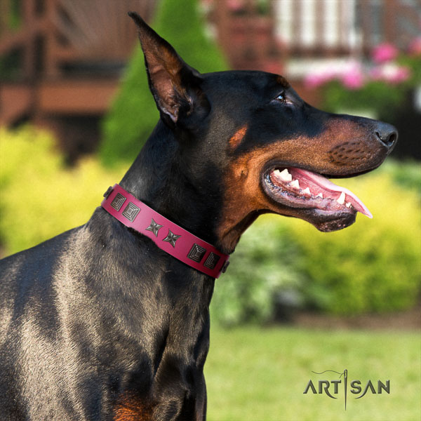 Doberman leather dog collar with studs for your stylish canine
