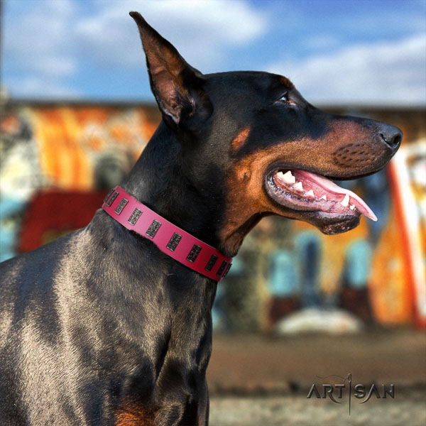 Doberman leather dog collar with decorations for your attractive four-legged friend