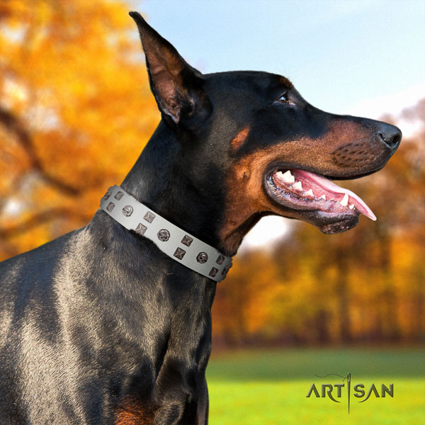 Doberman genuine leather dog collar with adornments for your stylish doggie