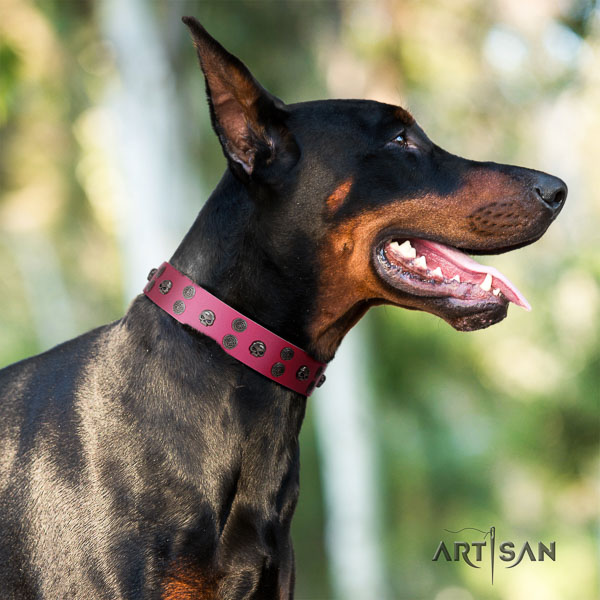 Doberman genuine leather dog collar with studs for your impressive pet