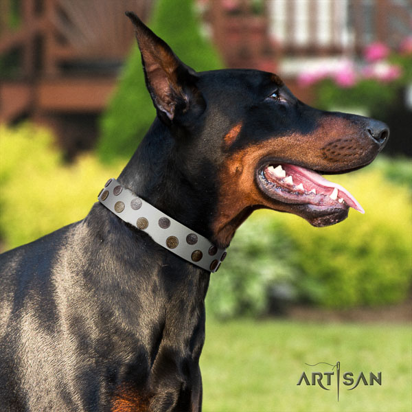 Doberman full grain natural leather dog collar with adornments for your attractive doggie
