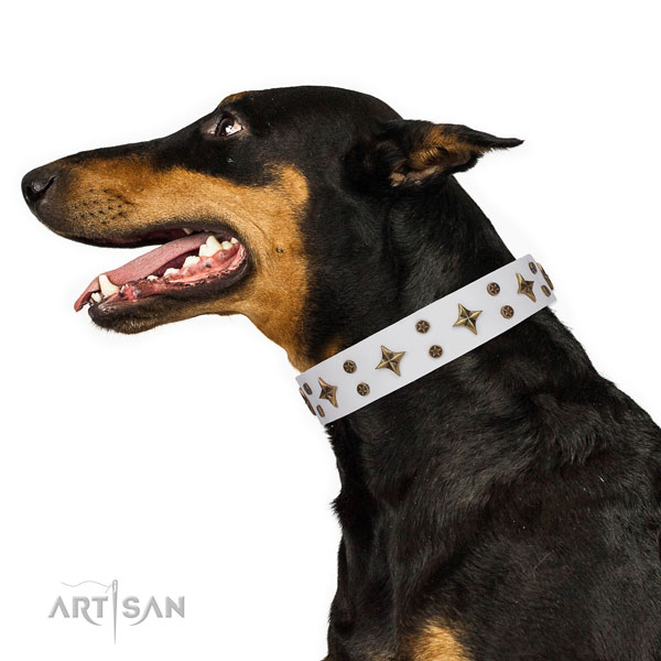 Doberman top quality full grain genuine leather dog collar for everyday use