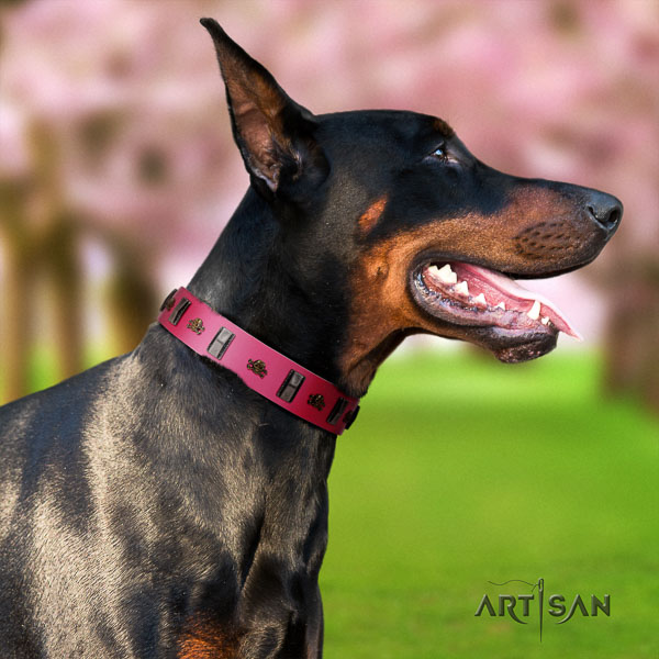 Doberman natural genuine leather dog collar with studs for your beautiful pet