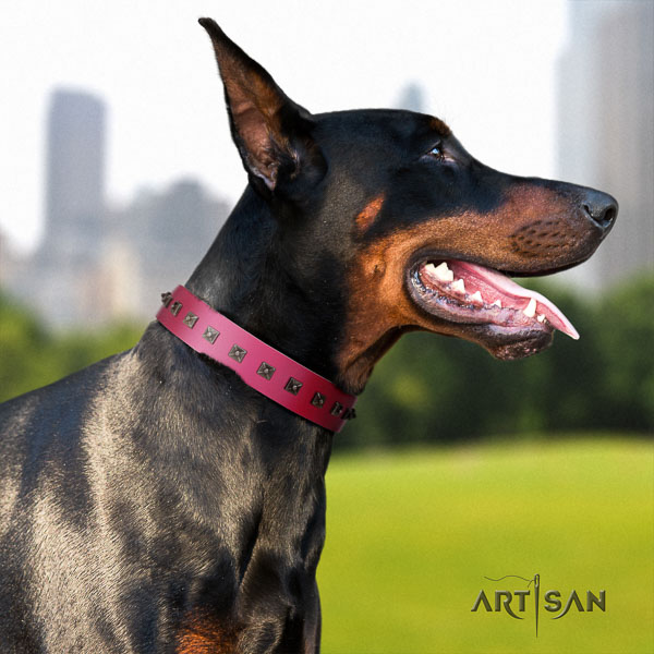 Doberman full grain leather dog collar with decorations for your stylish dog