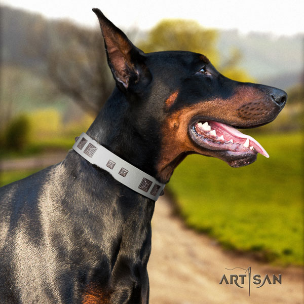 Doberman full grain genuine leather dog collar with adornments for your attractive dog