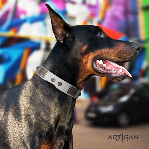 Doberman genuine leather dog collar with embellishments for your handsome four-legged friend