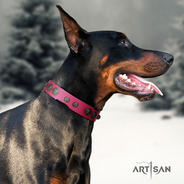 Doberman leather dog collar with adornments for your impressive four-legged friend