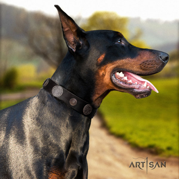 Doberman natural genuine leather dog collar with embellishments for your handsome dog