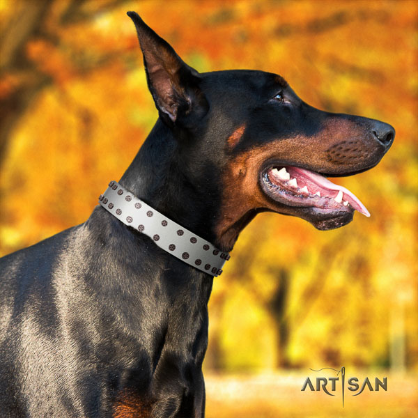 Doberman genuine leather dog collar with decorations for your handsome dog