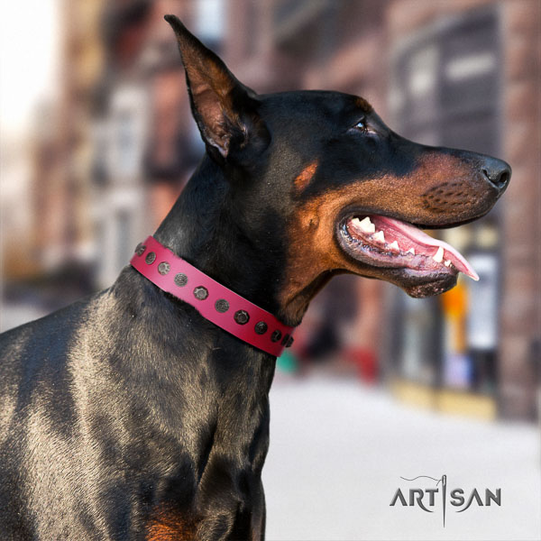 Doberman genuine leather dog collar with decorations for your attractive canine