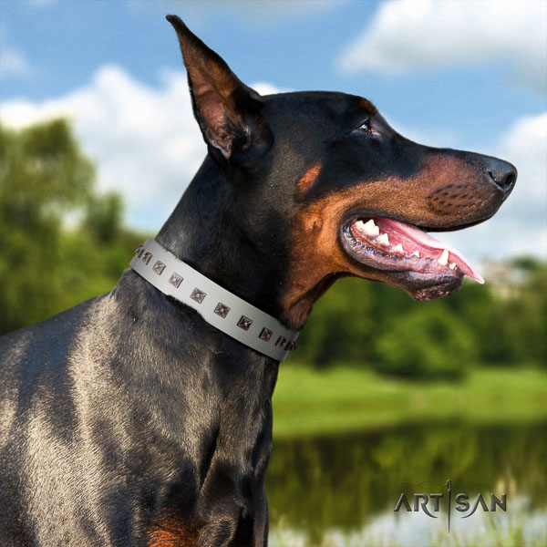 Doberman full grain natural leather dog collar with embellishments for your lovely dog