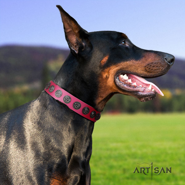 Doberman full grain natural leather dog collar with studs for your handsome four-legged friend