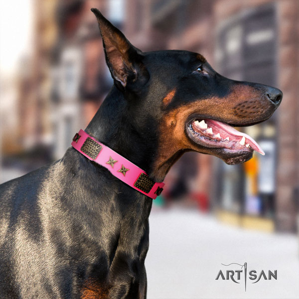 Doberman best quality full grain natural leather collar with adornments for your four-legged friend