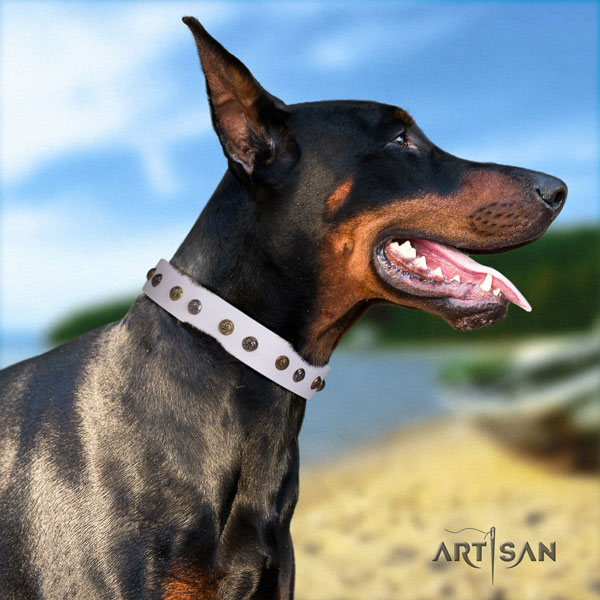 Doberman easy adjustable full grain leather collar with adornments for your canine