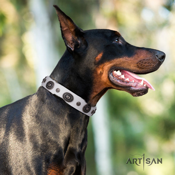Doberman amazing genuine leather collar with adornments for your four-legged friend